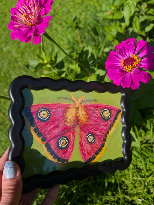 Original mixed media painting of pink moth with bold black white and yellow markings on lime green background in black wavy frame