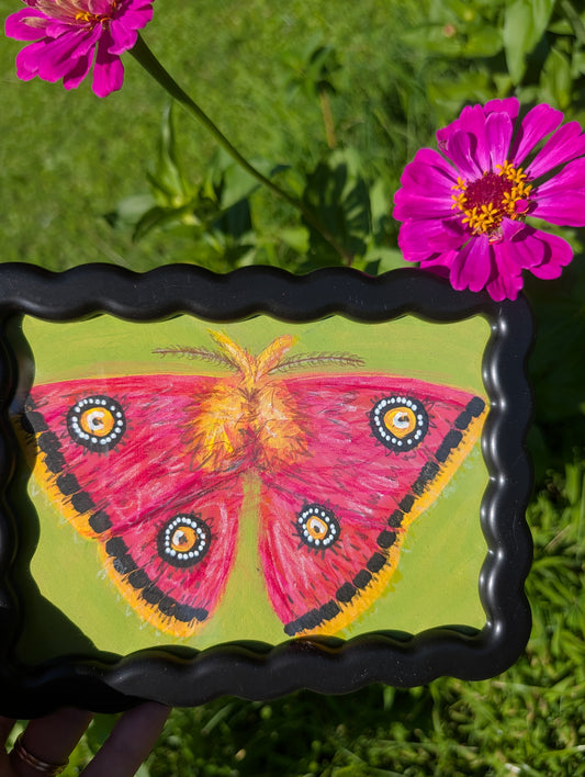 Original mixed media painting of pink moth with bold black white and yellow markings on lime green background in black wavy frame
