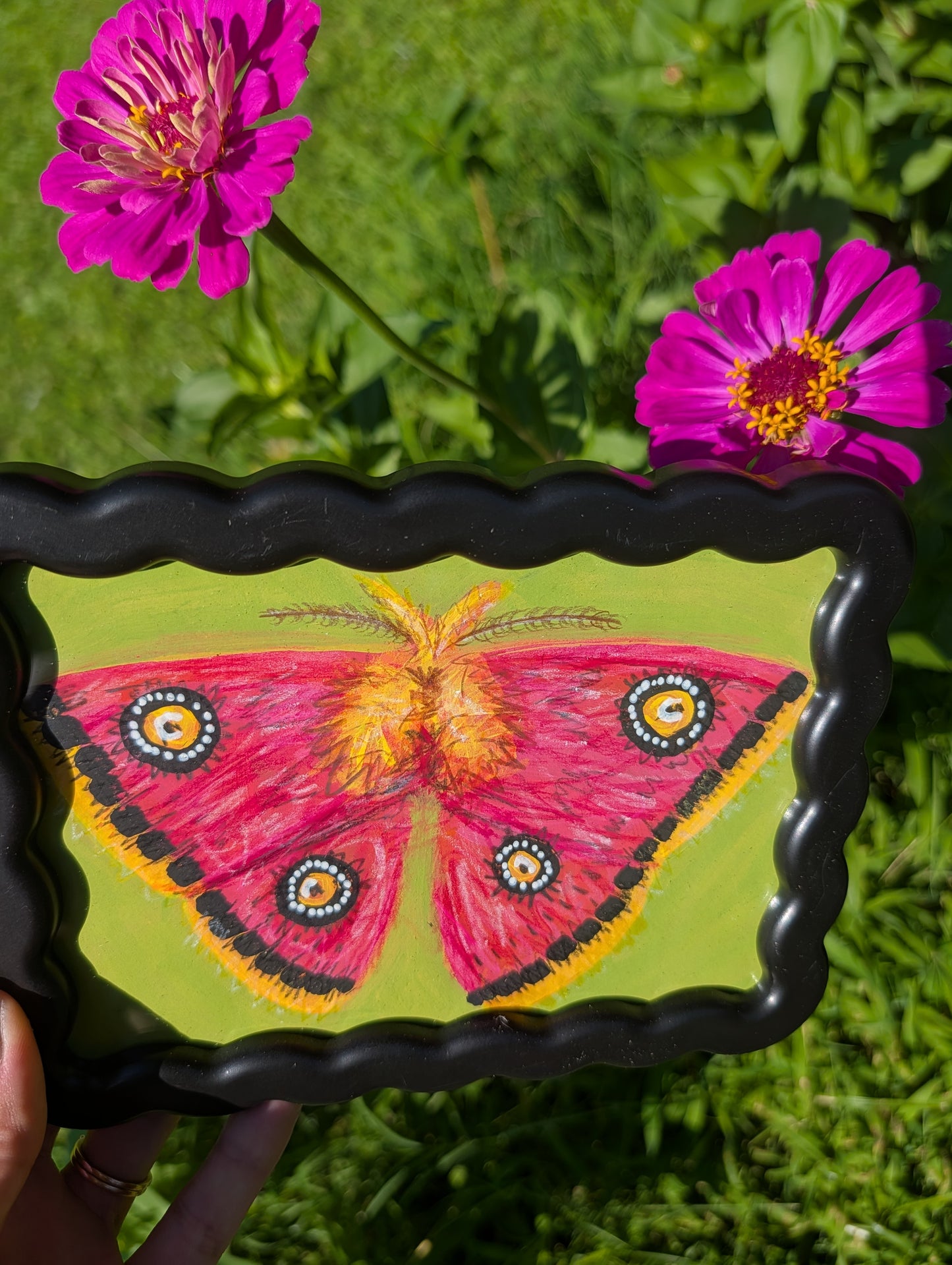 Original mixed media painting of pink moth with bold black white and yellow markings on lime green background in black wavy frame