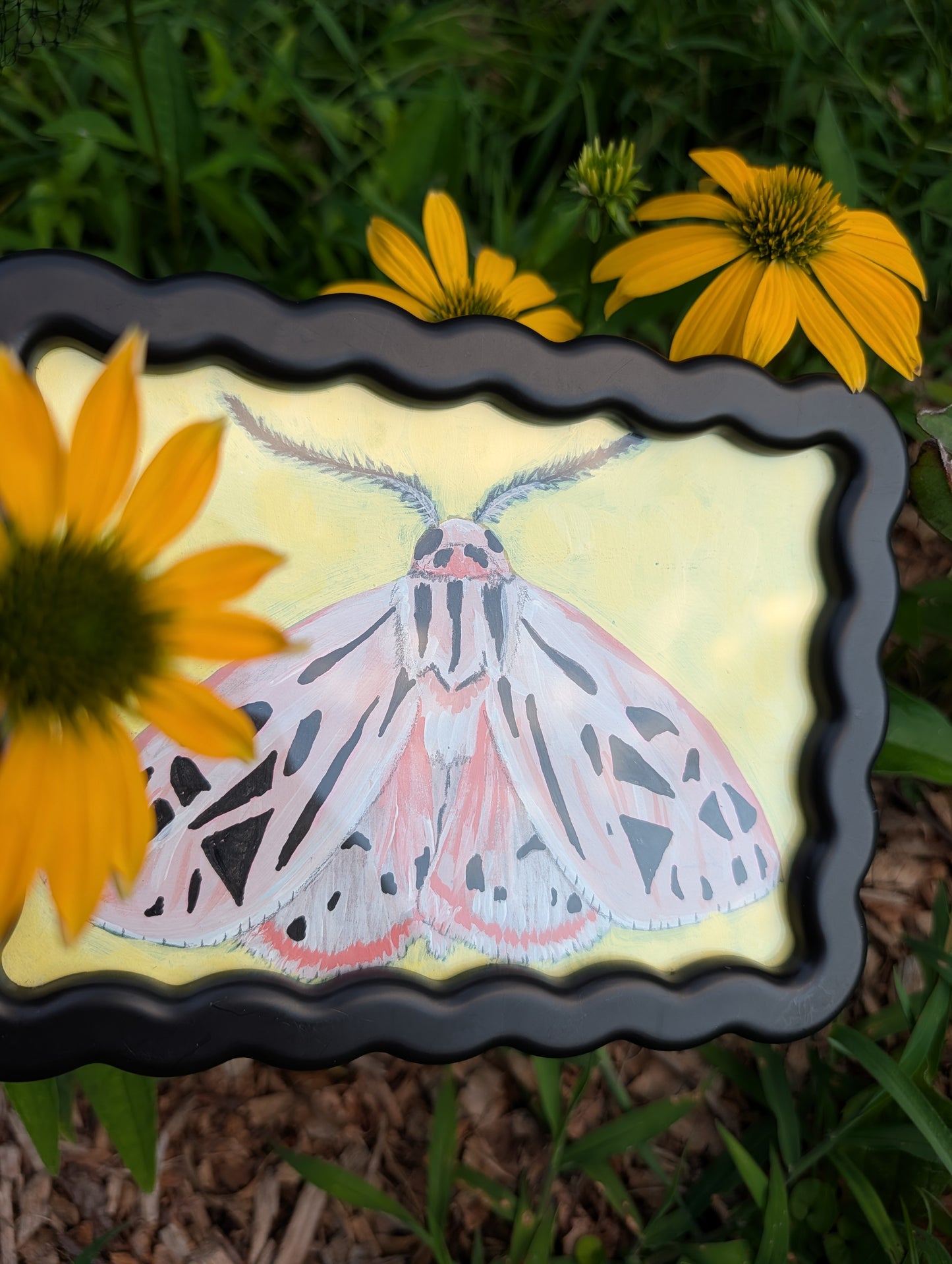Original mixed media painting of pink moth with delicate black markings and fluffy antennae on soft yellow background in black wavy frame
