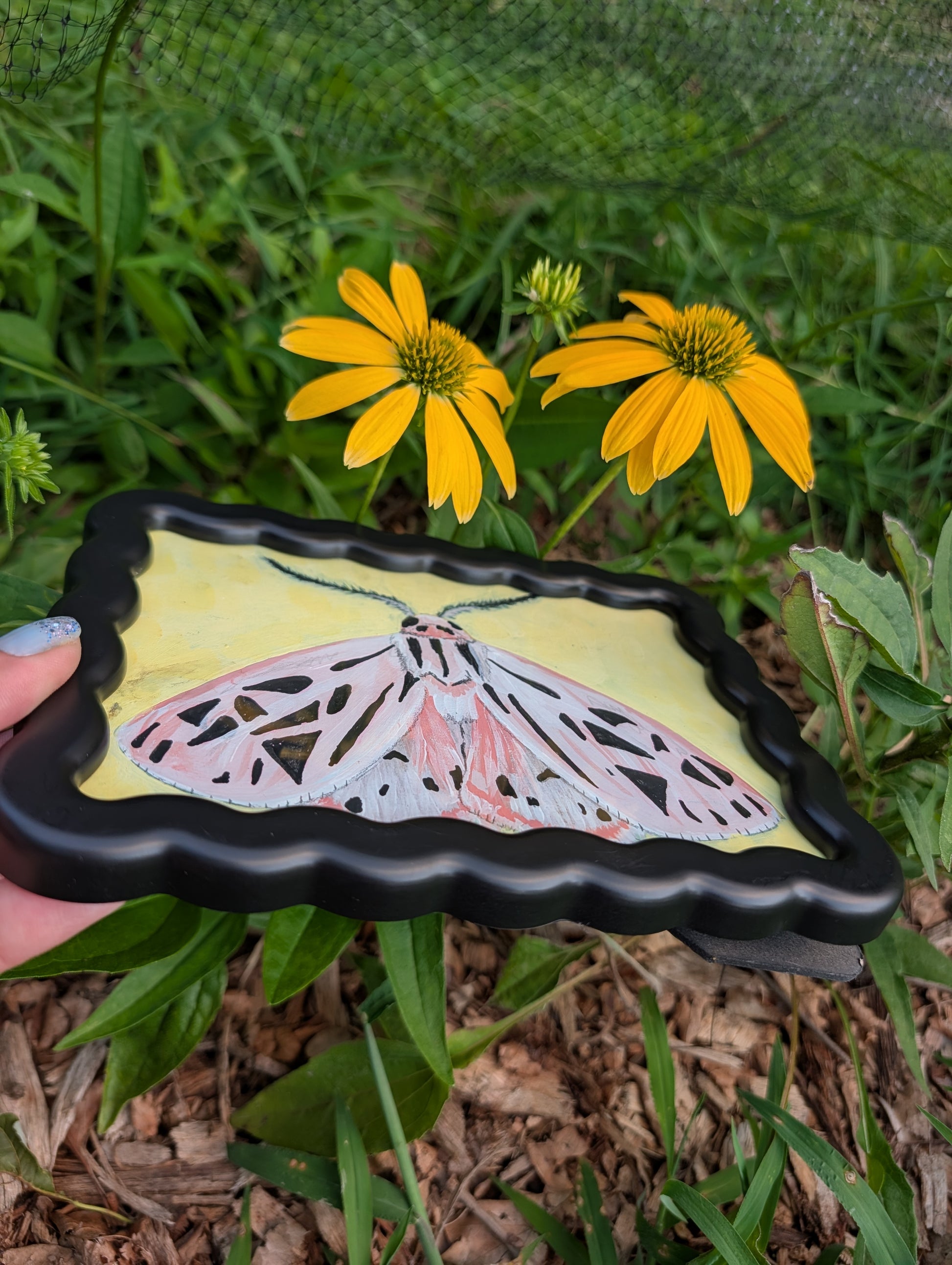 Original mixed media painting of pink moth with delicate black markings and fluffy antennae on soft yellow background in black wavy frame